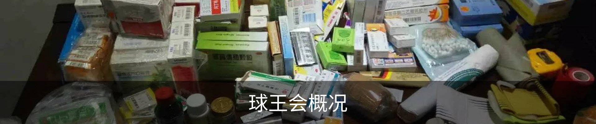 球王会概况