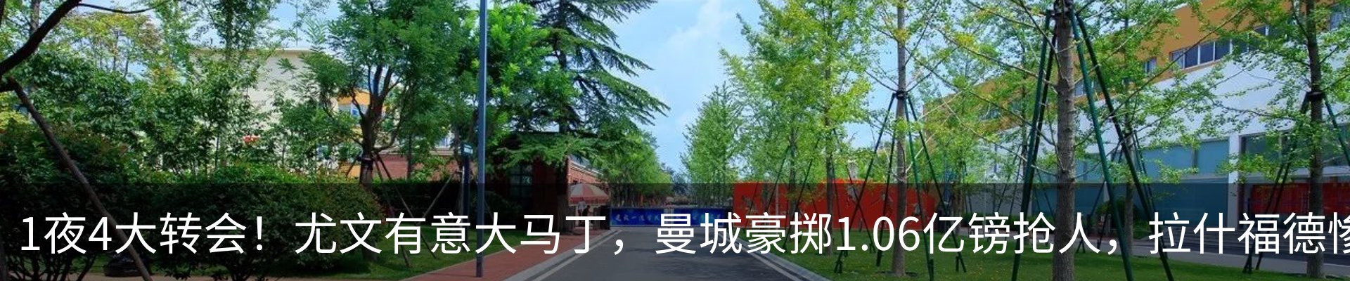 最新动态